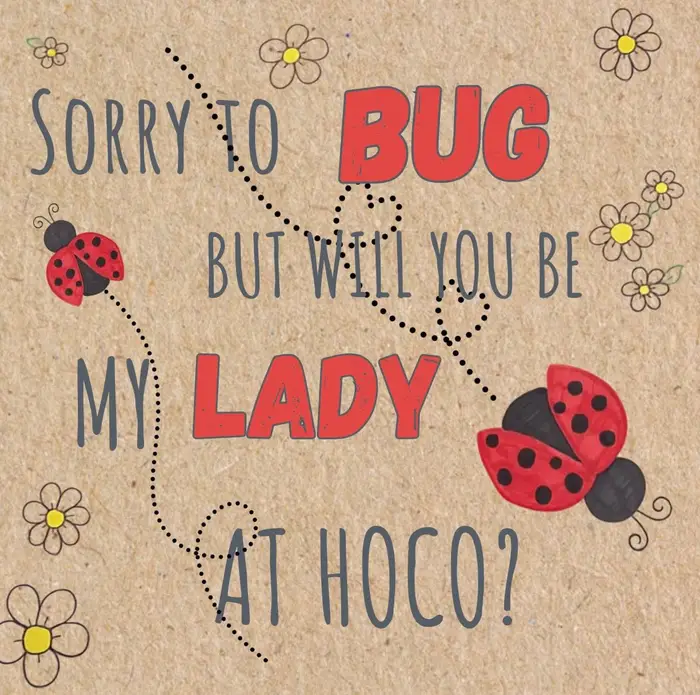 Hand-painted homecoming proposal poster reading "Sorry to bug but will you be my lady at Hoco?"